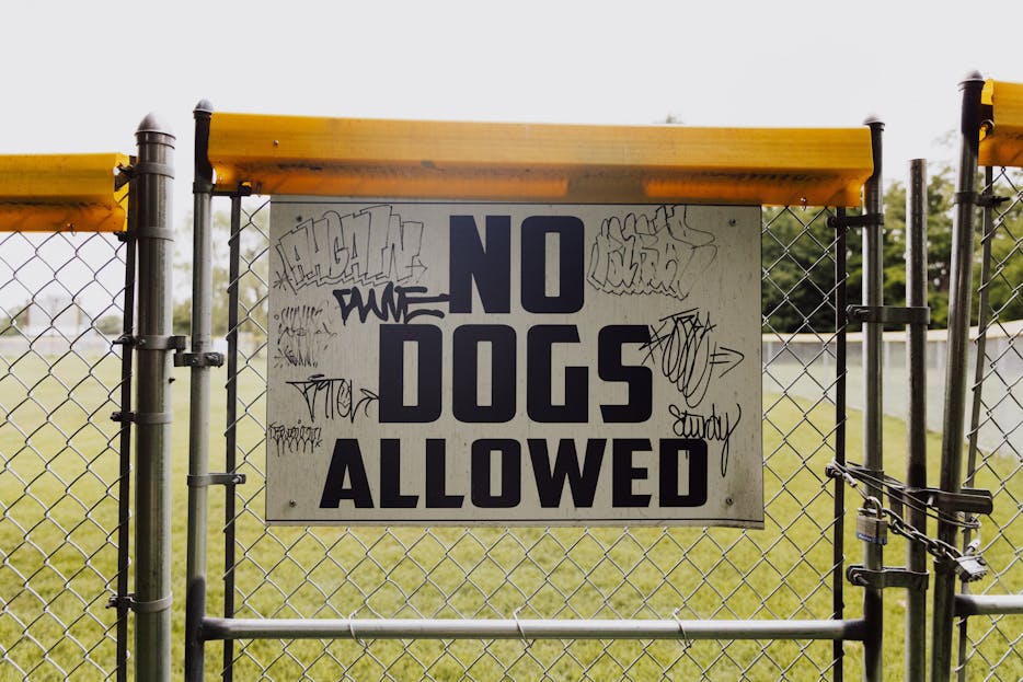 Disclaimer TheAlite A fenced gate displaying a "No Dogs Allowed" sign with graffiti in a park setting.