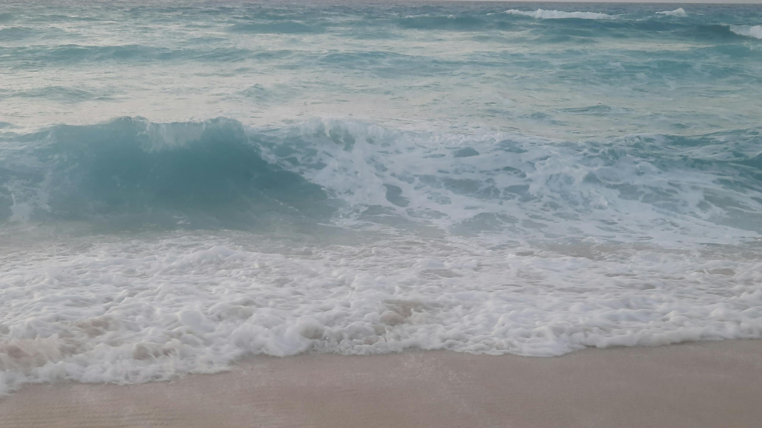 Snowhiter Peaceful ocean waves gently crashing on a sandy beach at daytime.