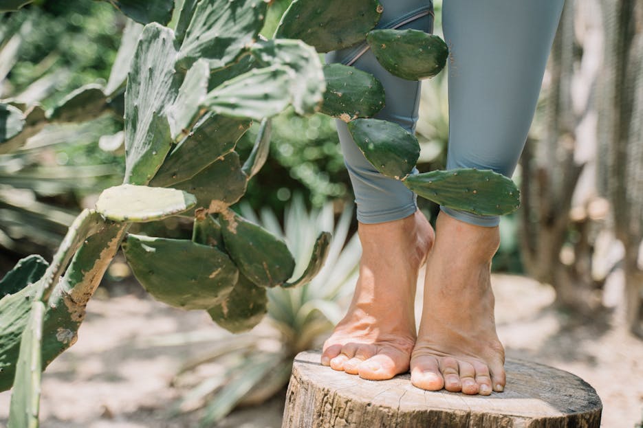 Well Health Tips in Hindi WellHealthOrganicPerson balancing barefoot on a wooden log surrounded by succulents and cacti.
