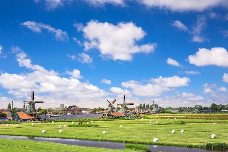 Trencher for Drainage Picturesque view of traditional windmills and farmland in rural Amsterdam under a clear blue sky.