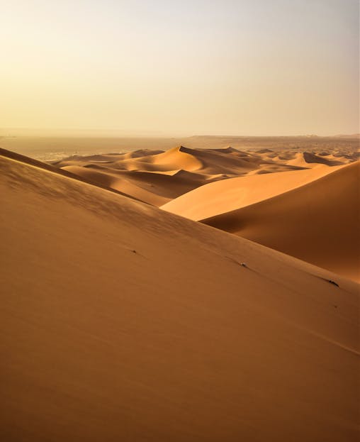 Buscrs Stunning view of golden sand dunes under a serene sunset in the Algerian Sahara Desert.