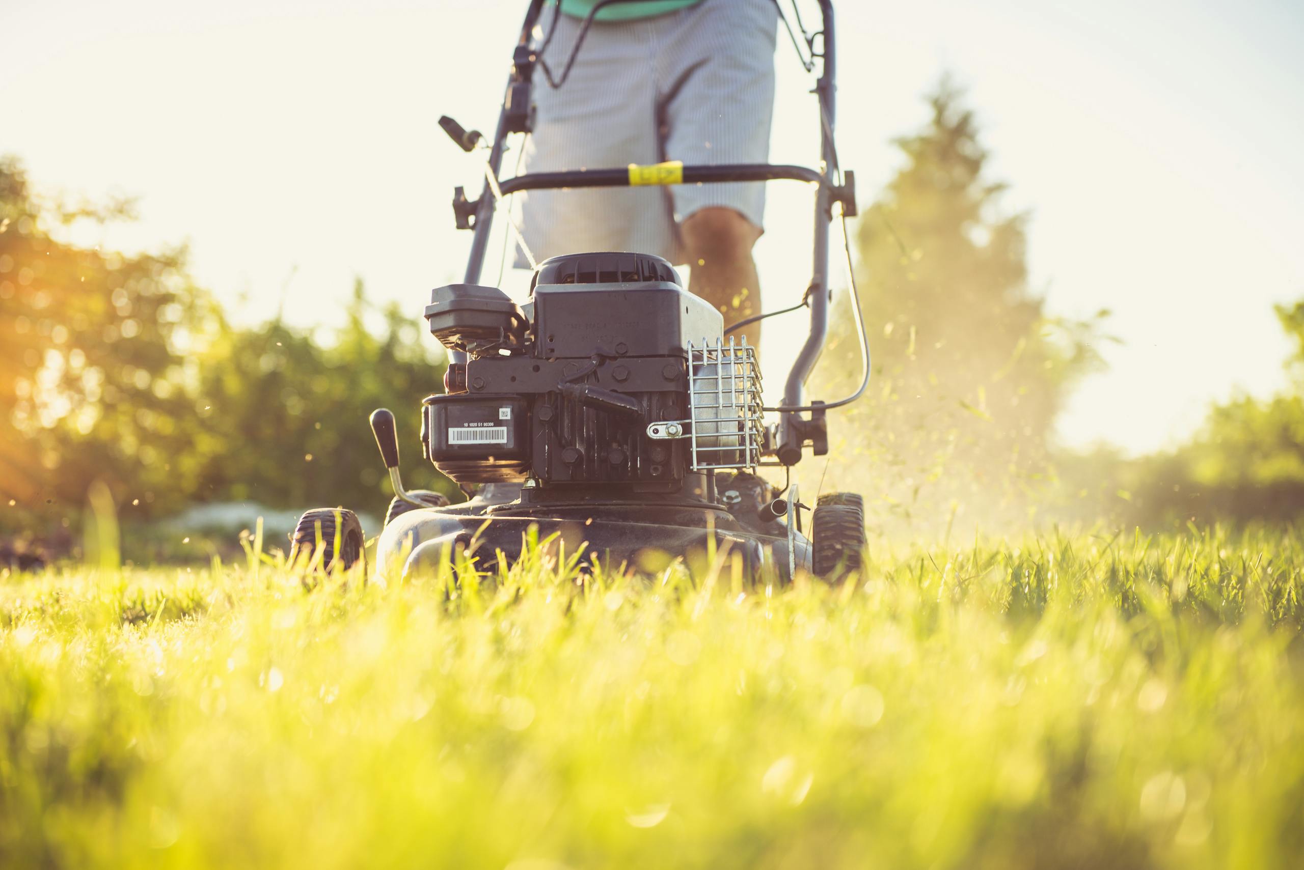 Grassland Mower Close-up of a person mowing a sunlit lawn with a push mower, showcasing summertime yard care.