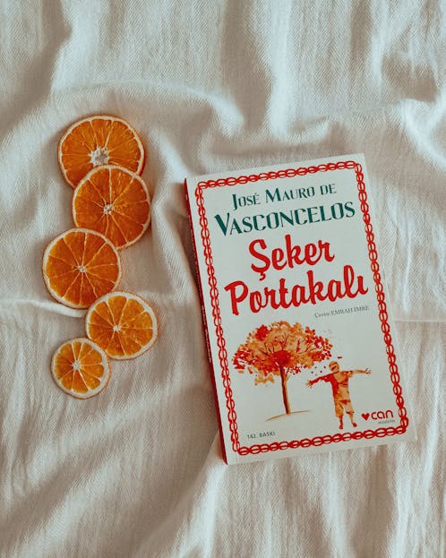 Decreto Supremo 160 A flat lay photo featuring a book cover beside sliced oranges on a soft fabric surface.